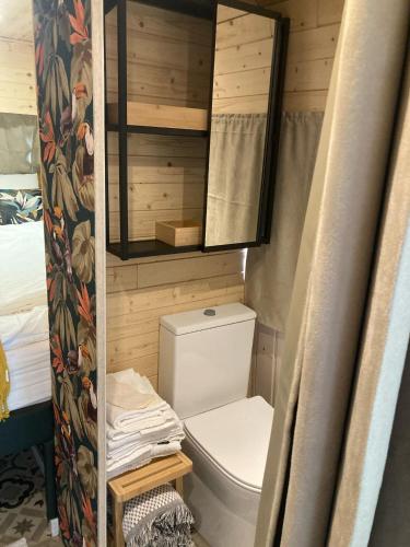 a small bathroom with a toilet and a mirror at Casa das Fontes O Tocano in Válega