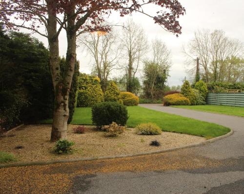 a garden with a tree and a driveway at Tranquil Carlow Bungalow in Crockaun