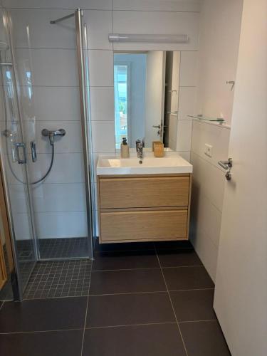 a bathroom with a sink and a shower at Penthouse Apartment in Gießen