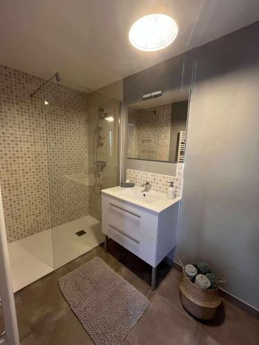 une salle de bain avec un lavabo blanc et une douche dans l'établissement Petit nid douillet-Palais des congrès et des expositions St Brieuc, à Ploufragan