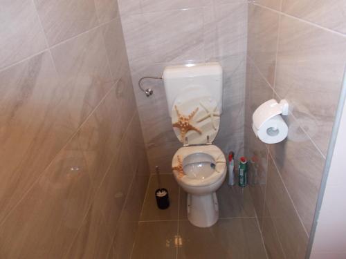 a bathroom with a toilet with a broken seat at Apartma Prima in Podbočje