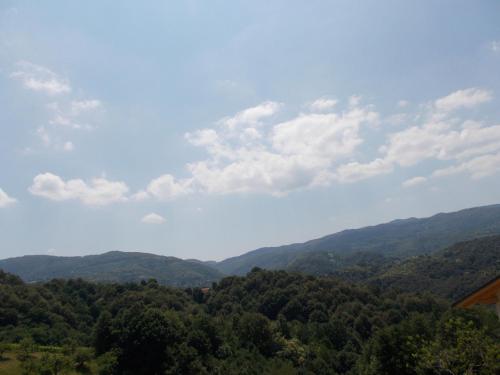 a view of a valley with trees and mountains at Apartma Prima in Podbočje