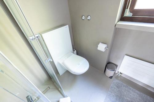 a small bathroom with a toilet and a shower at Mountain View - Trek, Bike, Ski, Lake in Flims