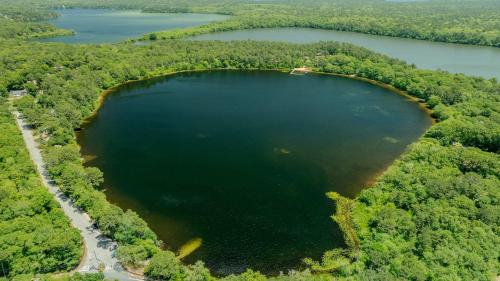 an aerial view of a large lake in the forest at Classic Home close to Ponds Dog Welcome in Brewster