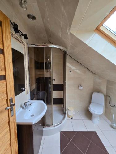 een badkamer met douche, wastafel en toilet bij domek monika in Okuninka