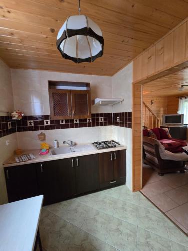 een keuken met een spoelbak en een aanrechtblad bij domek monika in Okuninka