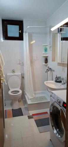 a bathroom with a toilet and a shower and a sink at Mike1890 in Portorož