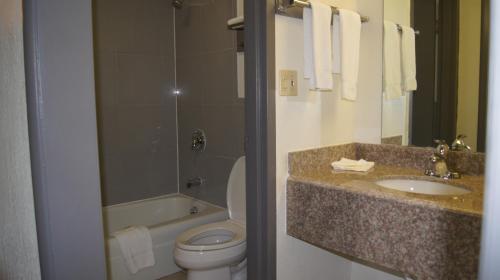 Koupelna v ubytování Executive Inn
