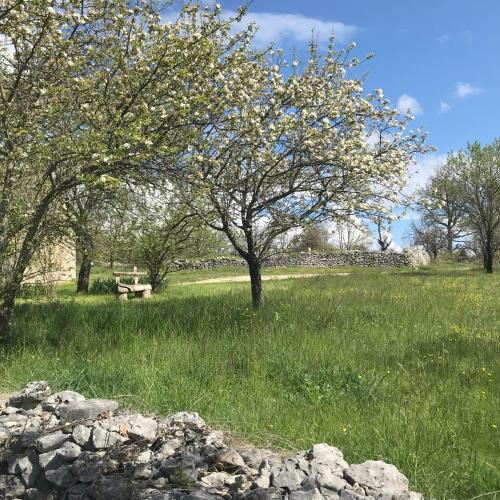 un parc avec un banc et des arbres dans un champ dans l'établissement Le Mas de Loume, à Sault