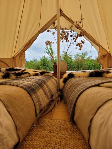a tent with two beds in front of a window at Mallard - 5m Luxury Bell Tent at Tregonetha Lake - Tylda Tents in Saint Columb Major