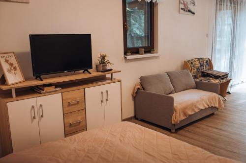 a living room with a tv and a couch and a chair at Rekreační a školicí středisko Zájezek in Chlum u Třeboně