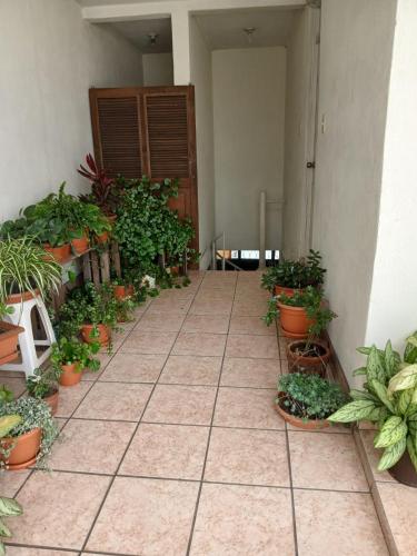 Jardín al aire libre en lindo apartamento