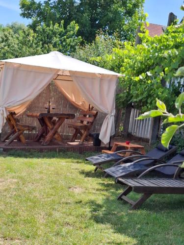 a picnic table and chairs under an umbrella in a yard at Cazare La Luiza b in Şura Mare