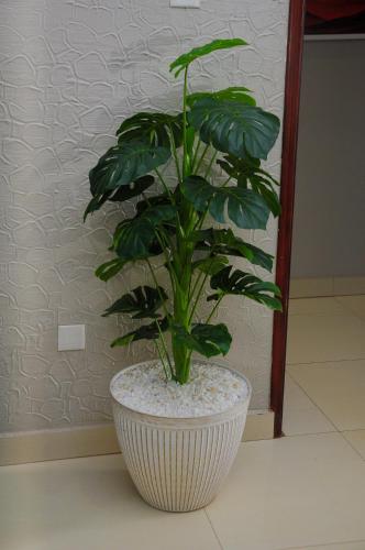 Foto sihtkohas Kampala asuva majutusasutuse White Cottage Suites galeriist