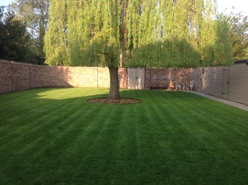 a green lawn with a tree in the middle at Charnwood Guest House in Shrewsbury