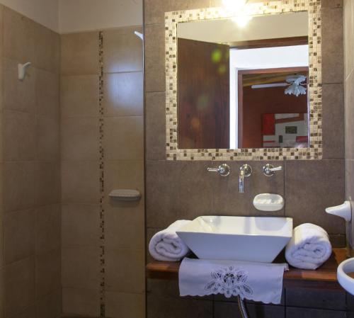a bathroom with a sink and a shower with a mirror at Finca Silvestre in San Rafael