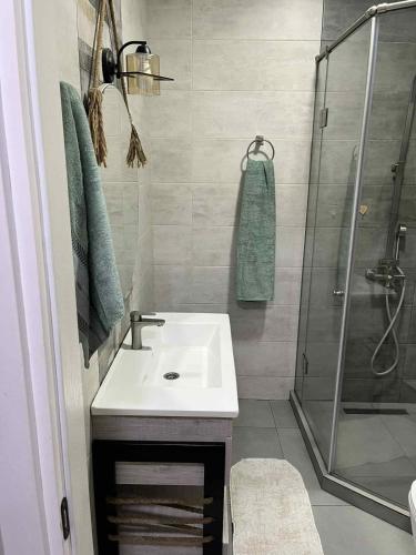 a bathroom with a sink and a shower at BST Batumi Leo in Angisa