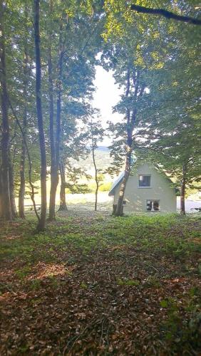 a small house in the middle of a forest at Forest Panorama Cabin Brezna in Pluzine
