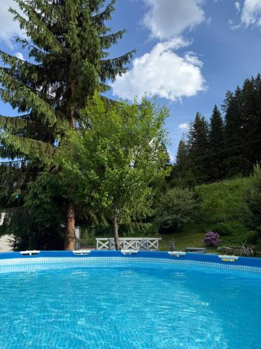 Bazén v ubytování Sadyba Dana nebo v jeho okolí