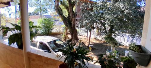 a car is parked in a yard with plants at Descanso merecido in Morretes