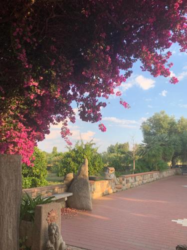 a teddy bear sitting on a bench under a tree at Su Giardinu in Girasole