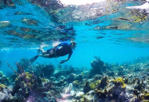 Almare Villa direct Beach Access