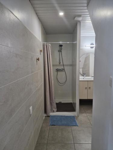 a bathroom with a shower with a shower curtain at Grange Les Sens Ciel in Saint-Mesmin