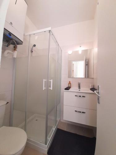 une salle de bain avec une douche, des toilettes et un lavabo dans l'établissement Le Refuge de l'Écusson - T2 centre-ville, WIFI, à Montpellier