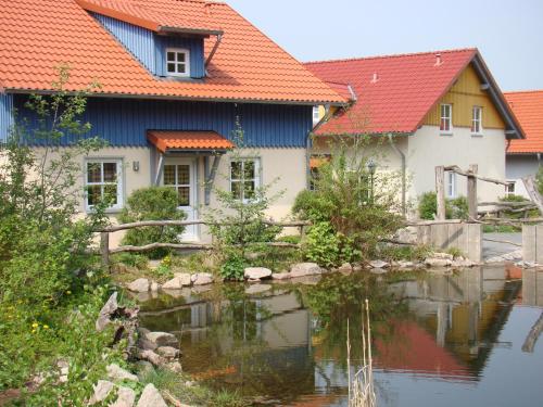a house with a pond in front of it at Hasseröder Ferienpark in Wernigerode