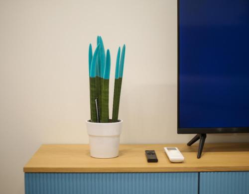 a potted plant sitting on a desk next to a computer monitor at Gledors Luxury Apartments in Vlorë