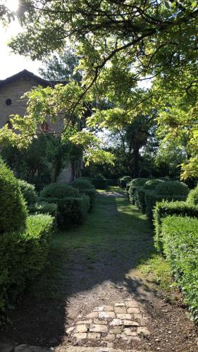 a garden with bushes and trees and a walkway at Le dimore de Il borgo del balsamico in Albinea