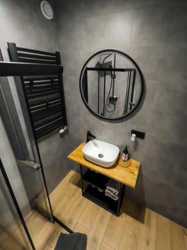 a bathroom with a sink and a mirror at Apartament LOFT in Rzeszów