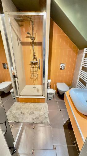 a bathroom with a shower and a toilet and a sink at Le Nid près de la Saône in Montmerle Sur Saône