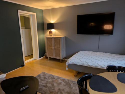 Μια τηλεόραση ή/και κέντρο ψυχαγωγίας στο E&E Apartment Junior
