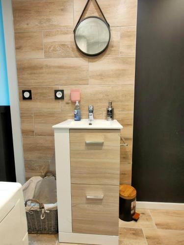 a bathroom with a sink and a mirror at Loft moderne dans un palace bourgeois in Aix-les-Bains