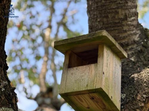 a wooden birdhouse on the side of a tree at Ferienwohnung 70qm - Natur, Fitness & SUP am Fluss in Damm