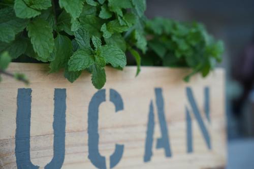 a wooden sign with a plant in a pot at Hôtel Le Roy in Christ Church