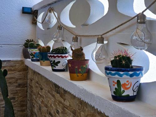 Wakacje Alicante El campello Spain Hiszpania