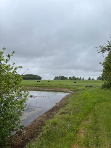 Tiny House Countryside