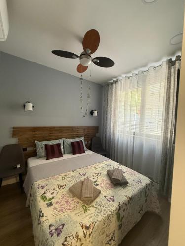 Cosy Apartment on Mpoleti