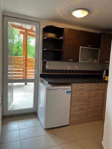 Η κουζίνα ή μικρή κουζίνα στο Apartmán pri Jazere