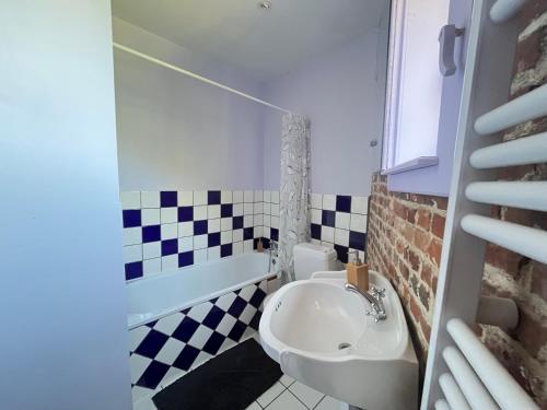 a small bathroom with a sink and a toilet at Le gîte du Canard boiteux in Silly