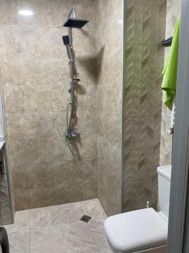 une salle de bain avec douche et toilettes dans l'établissement Сдается двухкомнатная квартира с балконом в Гонио с прекрасным видом на горы, à Itʼkhvisi
