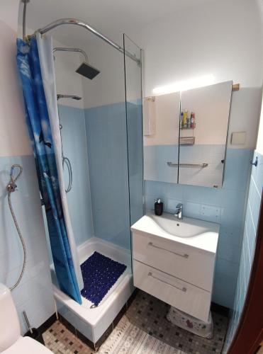 a bathroom with a shower and a sink at Ferienwohnung - Glockenbergtraum - im schönen Harz, 2 Zimmer mit Südbalkon in Altenau