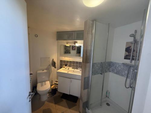 une salle de bain avec toilettes, douche et lavabo dans l'établissement Charmant Duplex aux Portes de Paris, à Ivry-sur-Seine