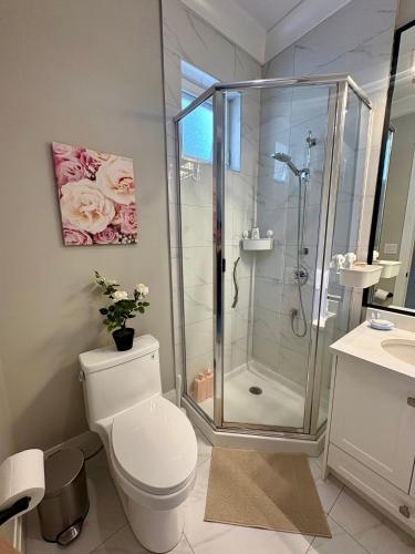 a bathroom with a toilet and a shower at Richmond Sweet home in Richmond