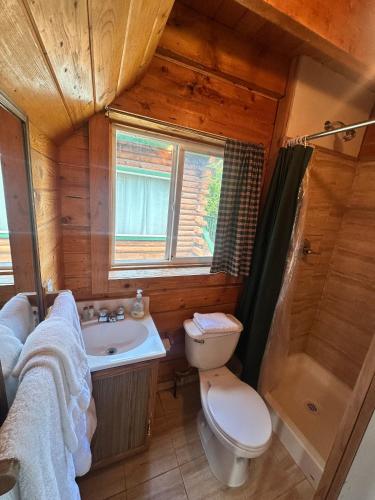ein Badezimmer mit Toilette, Waschbecken und Dusche in der Unterkunft Homer Floatplane Lodge in Homer