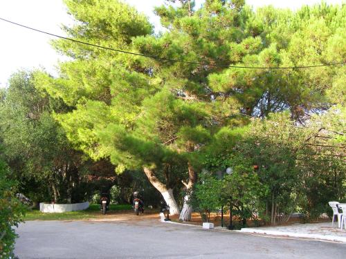 Κήπος έξω από το Polymnia Apartments