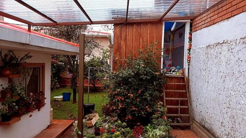 Κήπος έξω από το Grandma's house