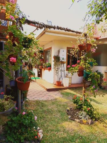 Κήπος έξω από το Grandma's house
